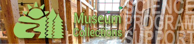 Museum Collection Banner
